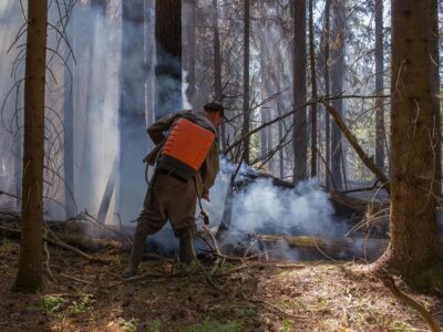 The Impact of Wildfires on Air Quality and Outdoor Workers in Alberta-