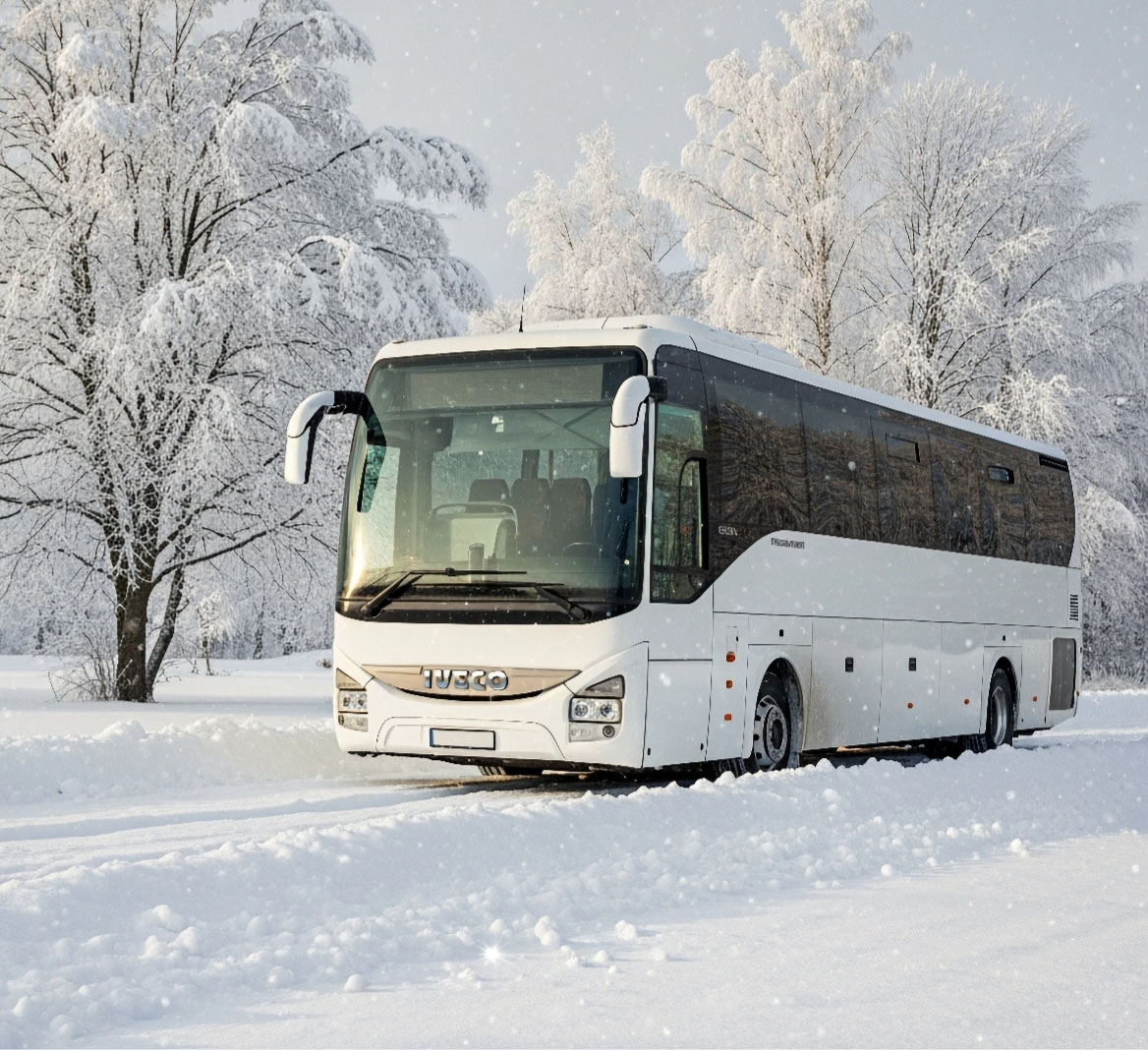 Public specialized transit img 5