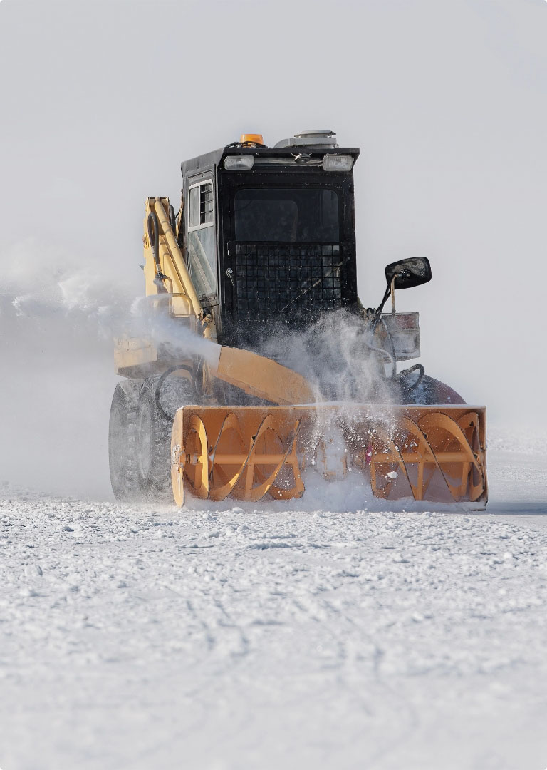 Snow blower sm